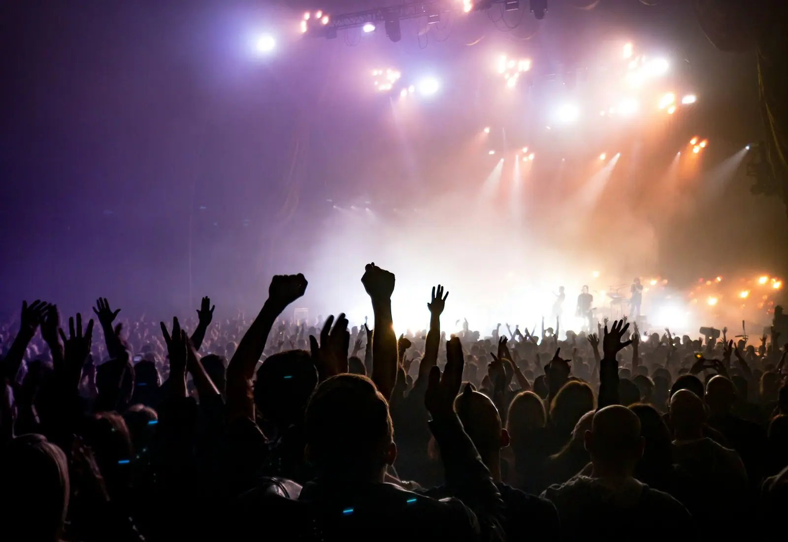 Público disfrutando un concierto de rock